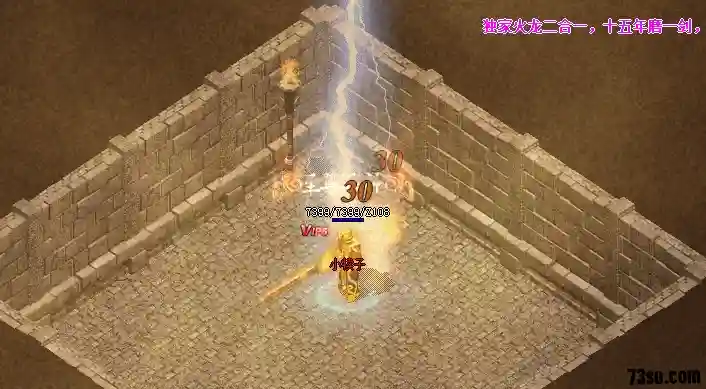 转生渡劫效果.webp