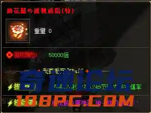 12.webp
