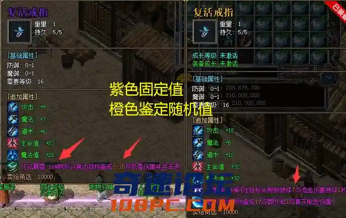 20.webp