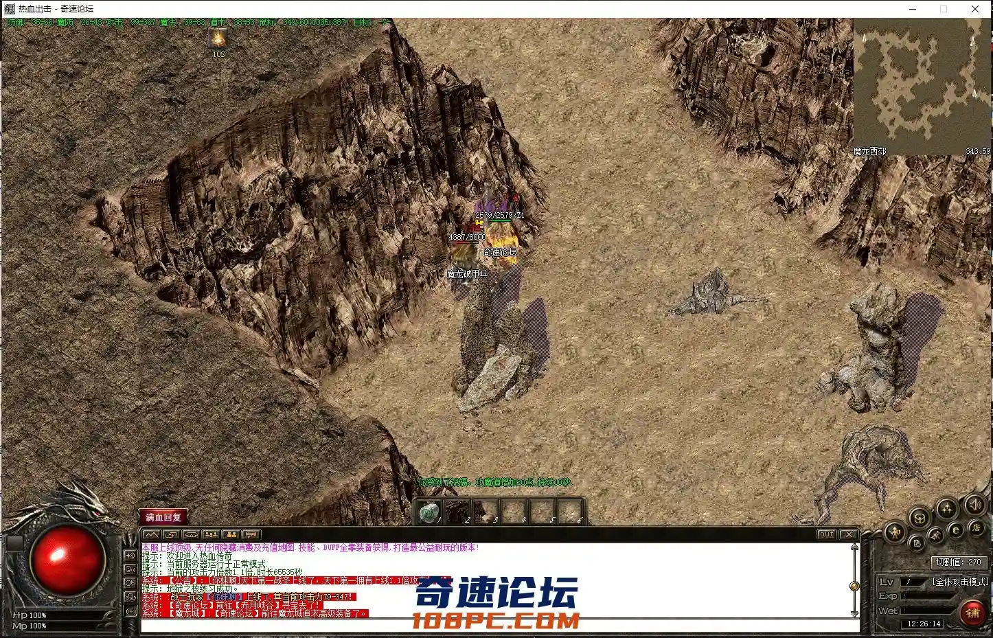 5.webp