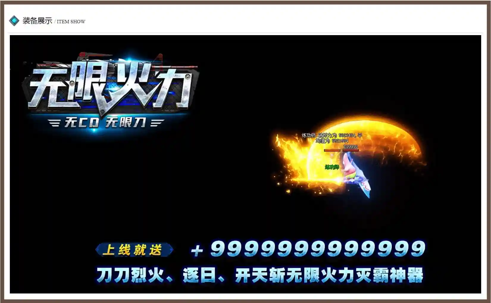 5.webp