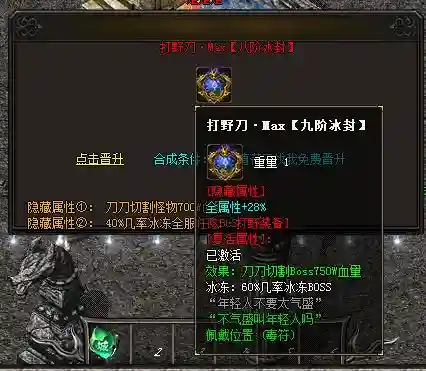 13.webp