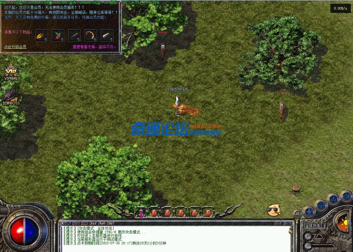 12、VIP特权.webp