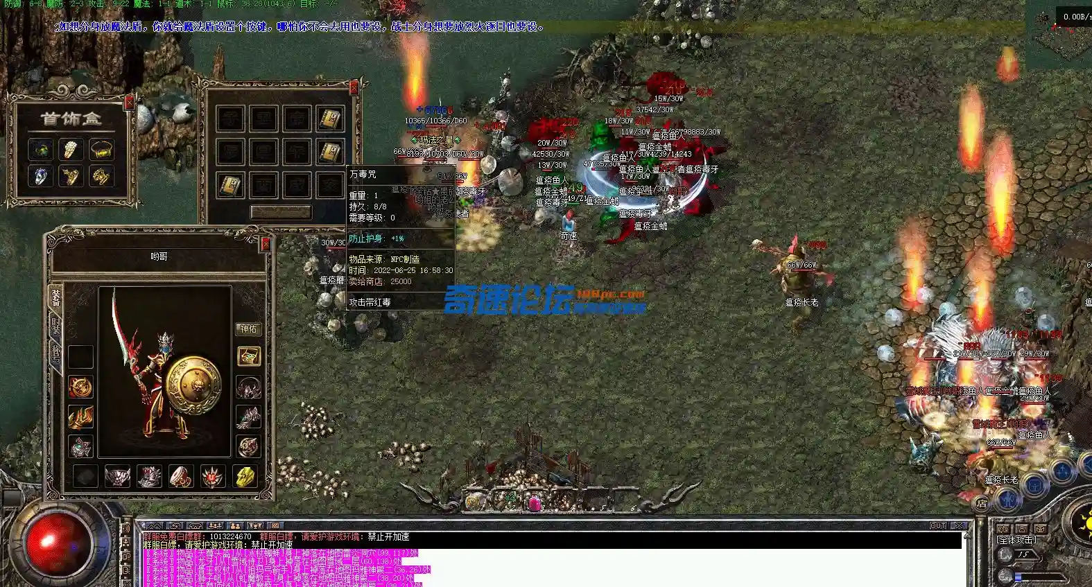 14.webp