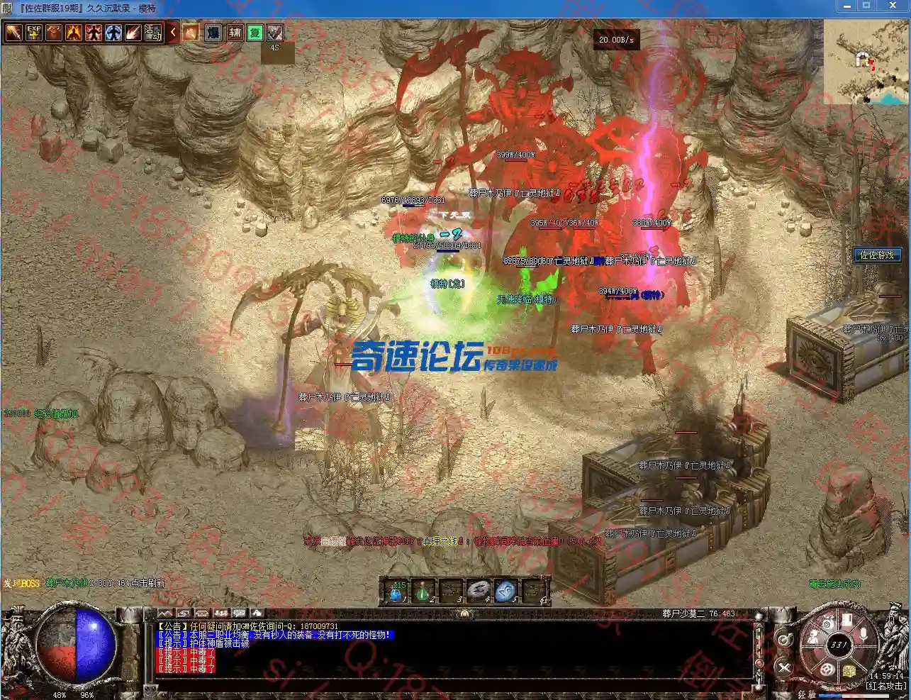 16.webp