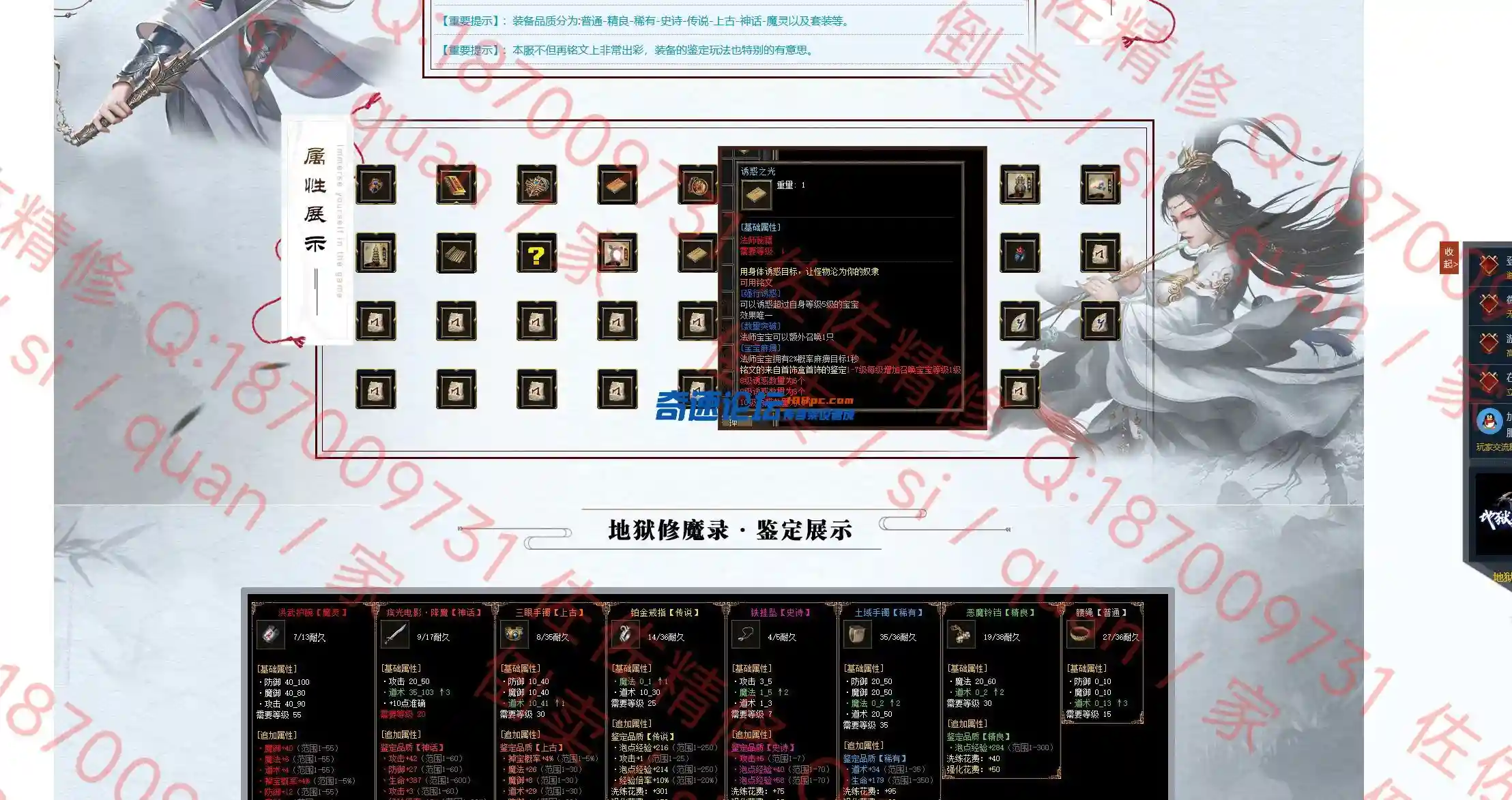 网站2.webp