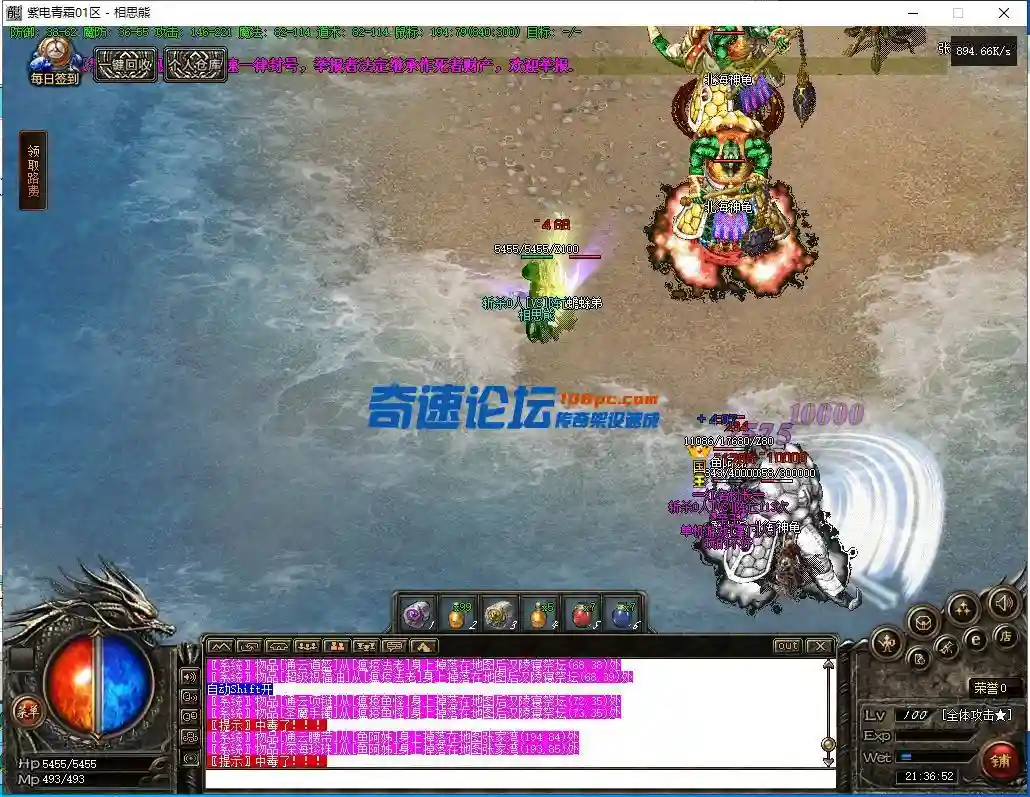 12.webp