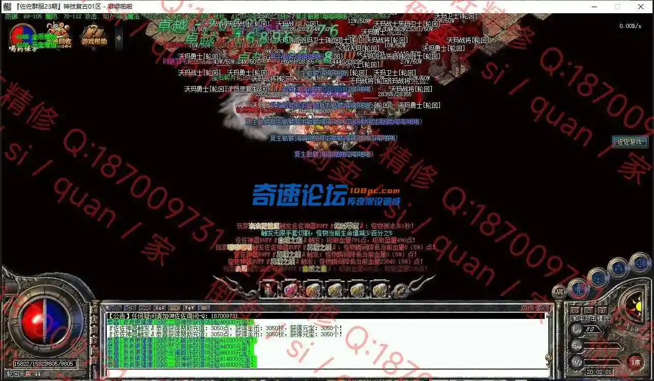 13.webp