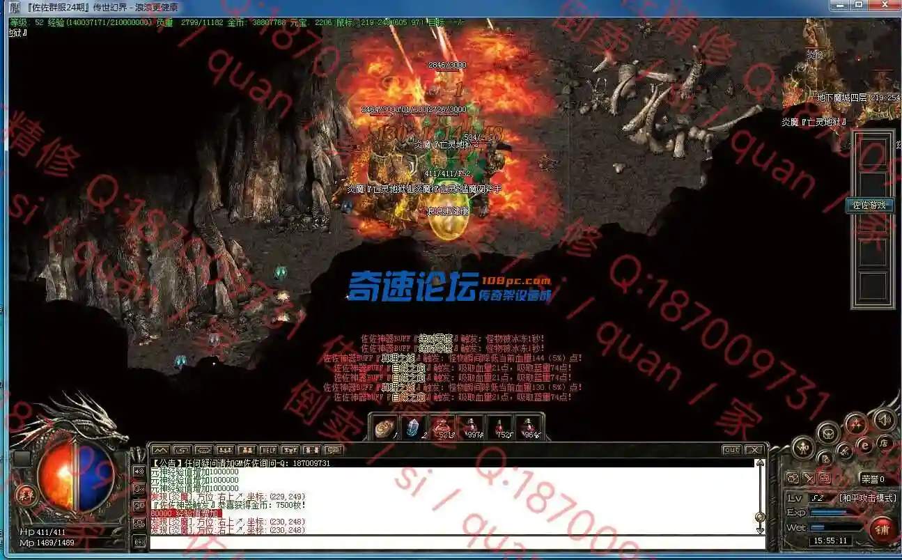 13.webp