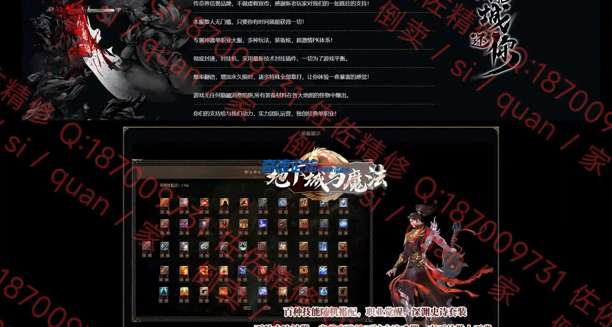 网站2.webp