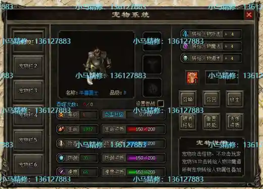 11.webp