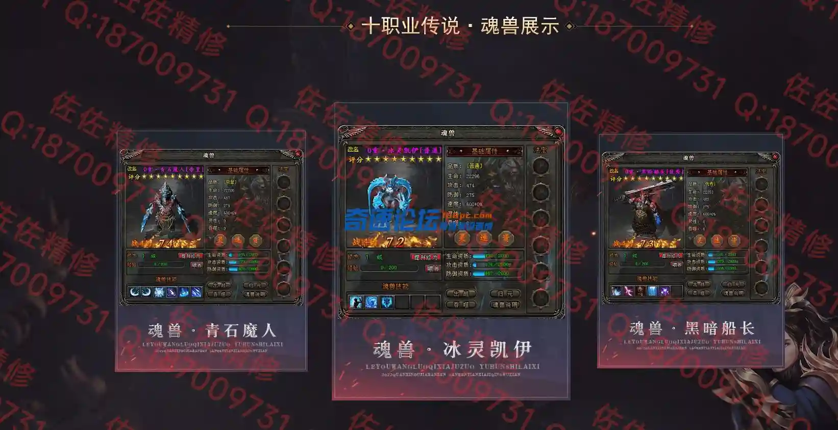 网站4.webp