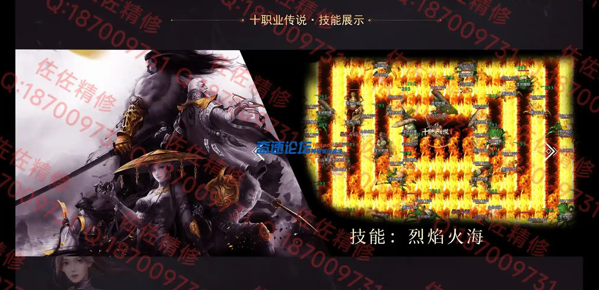 网站5.webp