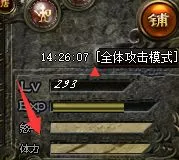 16.webp