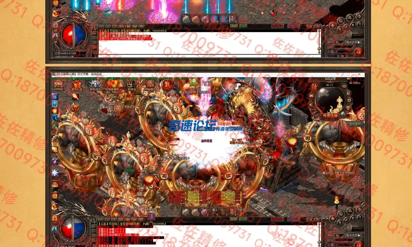 网站3.webp