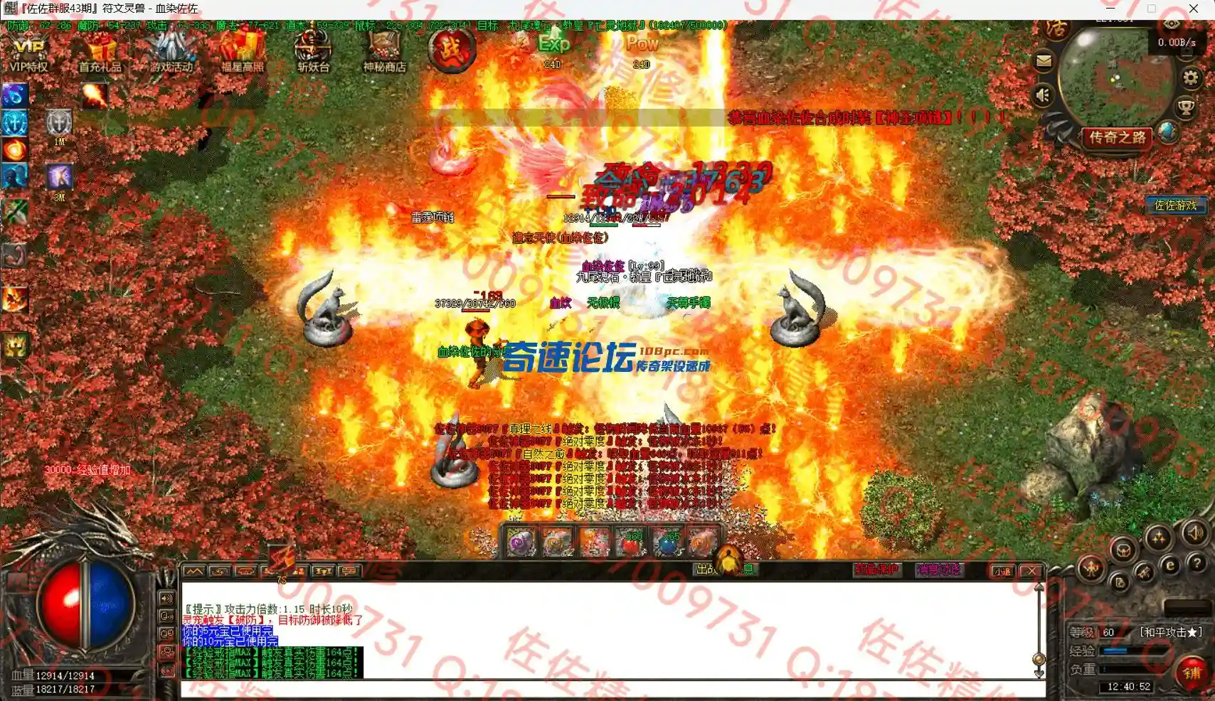15.webp