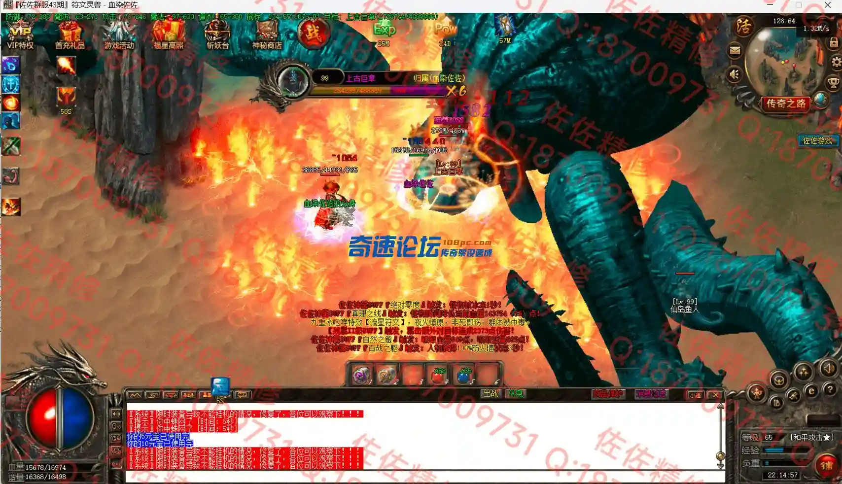 21.webp