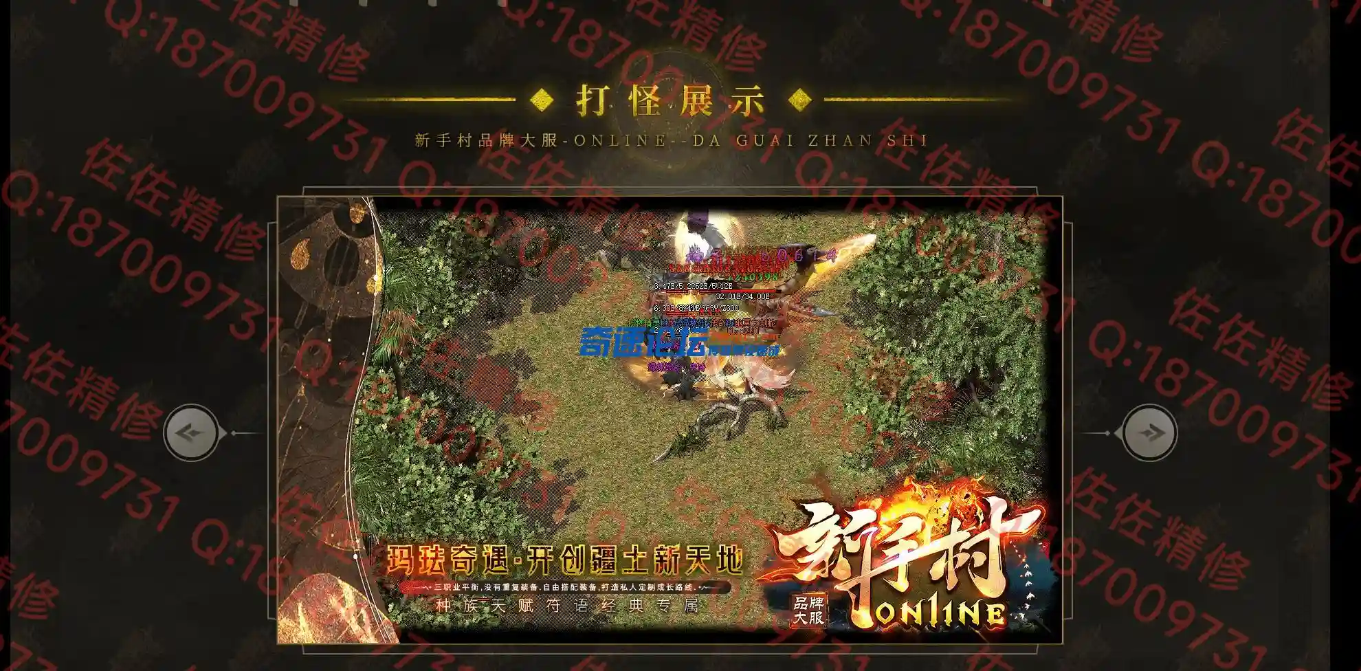 网站4.webp