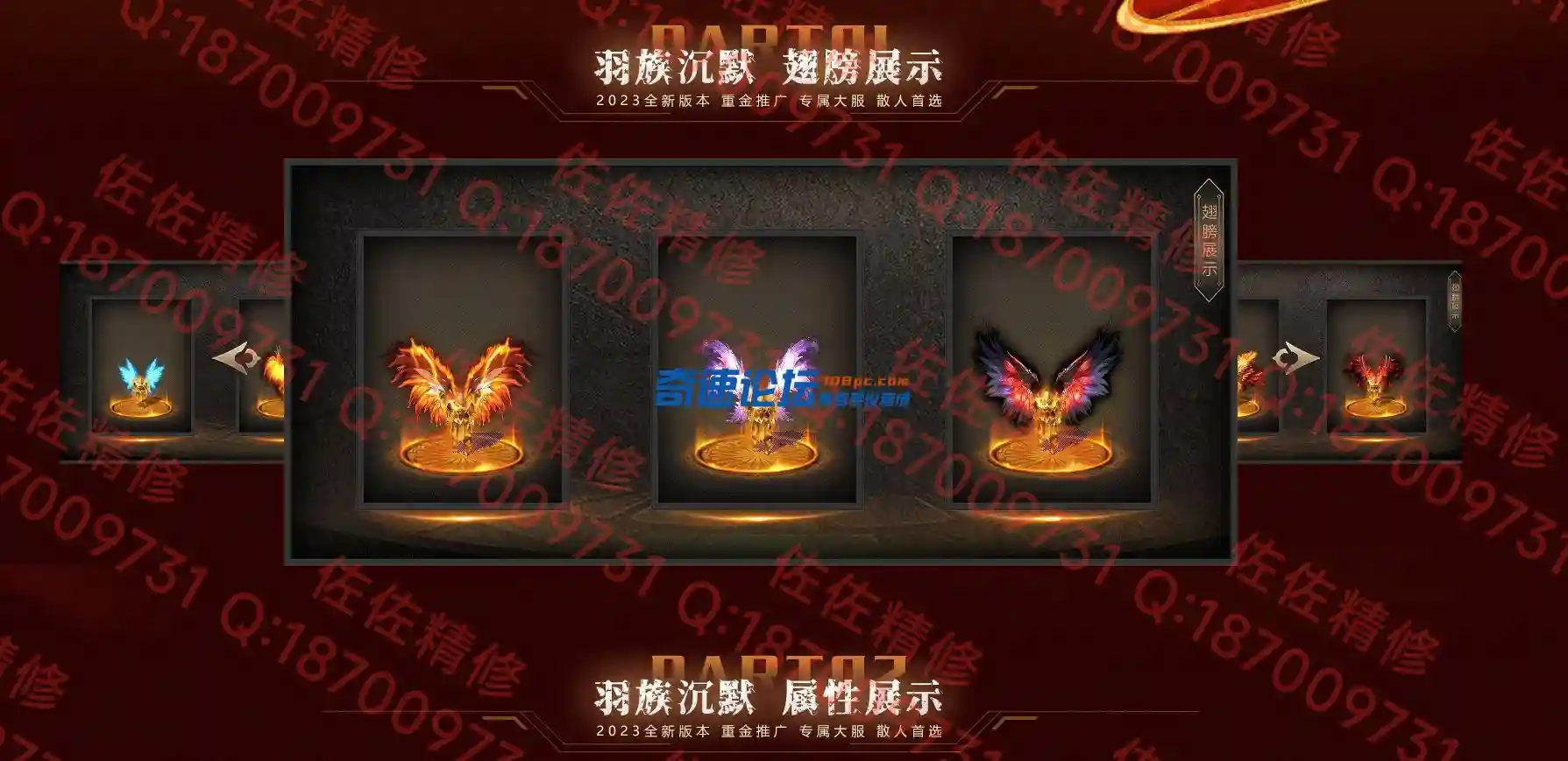 网站2.webp