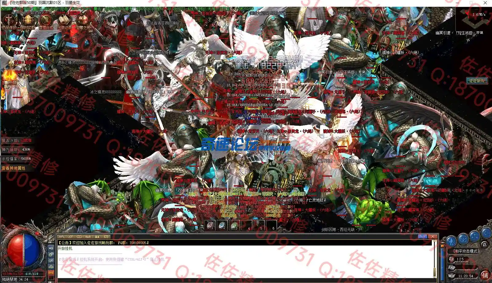 19.webp