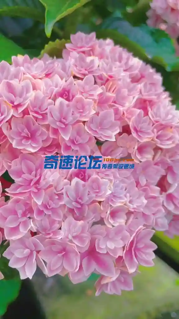 [20230624-174910].webp