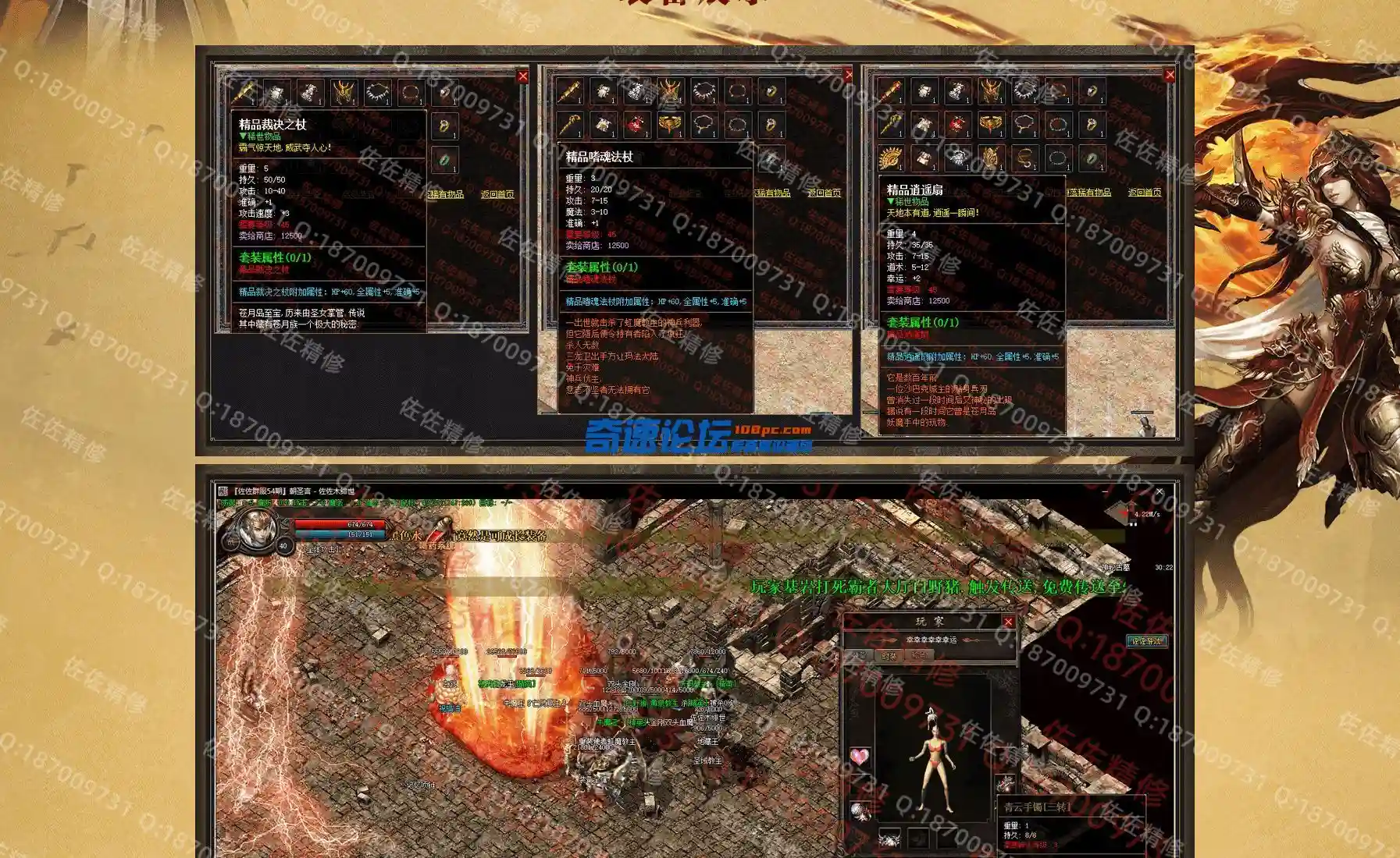 网站1.webp