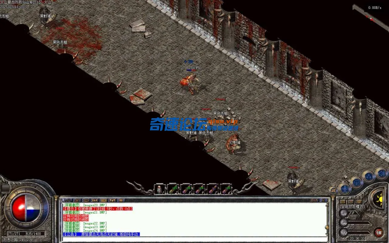 Images25.BMP.webp