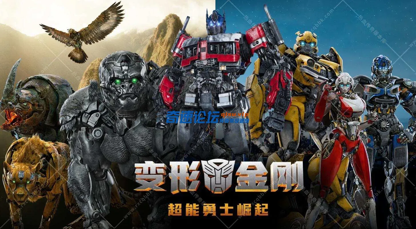 1.webp